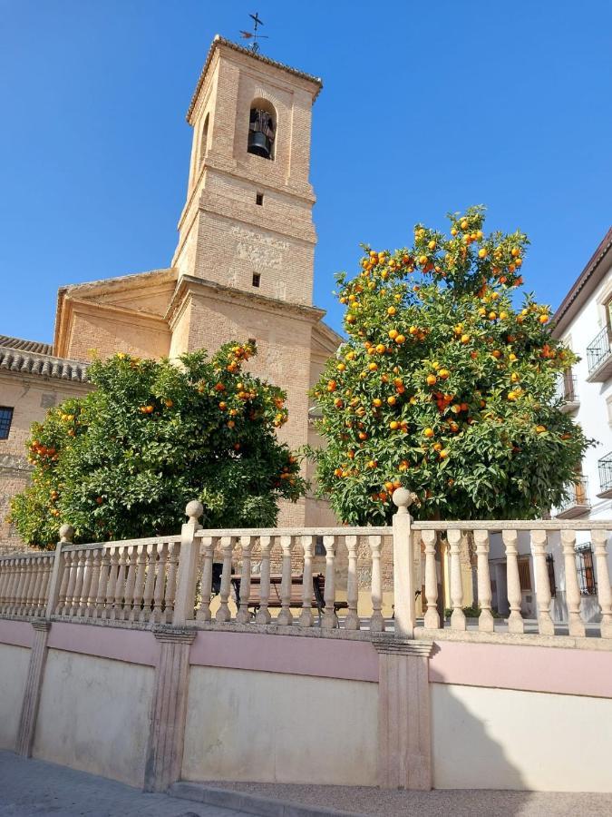 Casa Alice Bed & Breakfast *